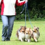 Jacie von den Rethörnchen