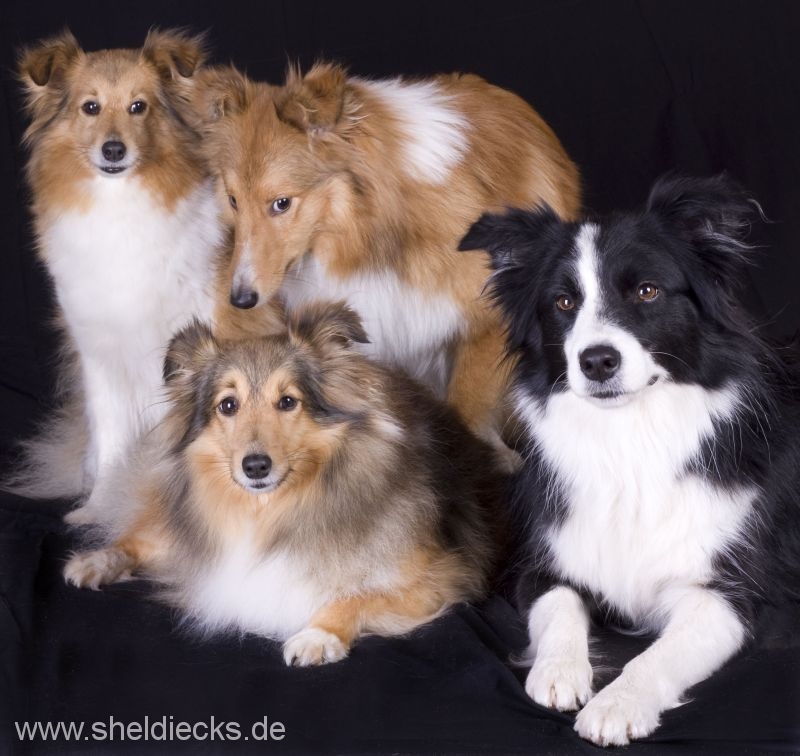 Jacie von den Rethörnchen