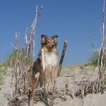 Jacie von den Rethörnchen