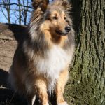 Jacie von den Rethörnchen