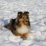 Jacie von den Rethörnchen