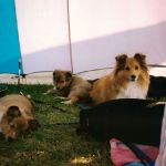 Jacie von den Rethörnchen