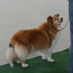 Lovely Leonie von den Rethörnchen