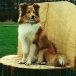 Lovely Leonie von den Rethörnchen