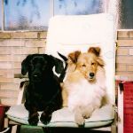 Lovely Leonie von den Rethörnchen