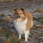 Lovely Leonie von den Rethörnchen