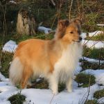 Lovely Leonie von den Rethörnchen