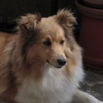 Lovely Leonie von den Rethörnchen