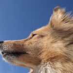 Lovely Leonie von den Rethörnchen