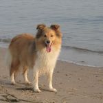 Lovely Leonie von den Rethörnchen