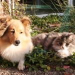 Lovely Leonie von den Rethörnchen