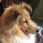 Lovely Leonie von den Rethörnchen