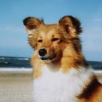 Lovely Leonie von den Rethörnchen