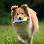 Lovely Leonie von den Rethörnchen