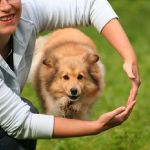 Lovely Leonie von den Rethörnchen