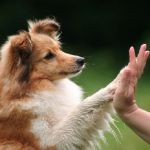 Lovely Leonie von den Rethörnchen