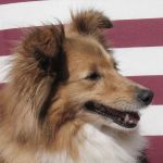 Lovely Leonie von den Rethörnchen