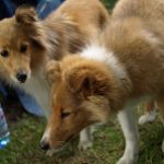 Lovely Leonie von den Rethörnchen