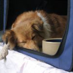 Lovely Leonie von den Rethörnchen