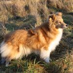 Lovely Leonie von den Rethörnchen