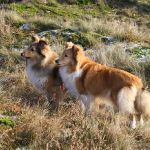 Lovely Leonie von den Rethörnchen