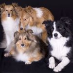 Lovely Leonie von den Rethörnchen