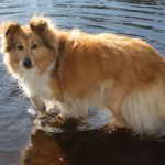 Lovely Leonie von den Rethörnchen