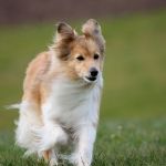 Lovely Leonie von den Rethörnchen