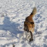 Lovely Leonie von den Rethörnchen