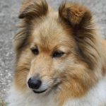 Lovely Leonie von den Rethörnchen