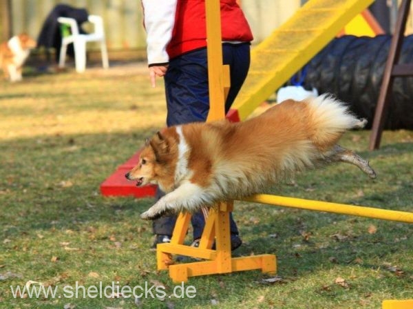 Lovely Leonie von den Rethörnchen