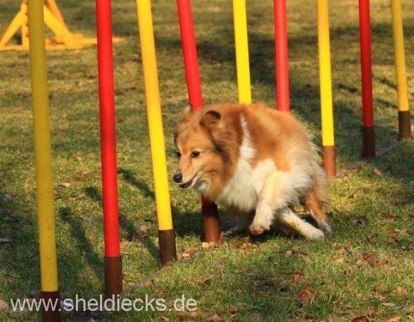 Lovely Leonie von den Rethörnchen
