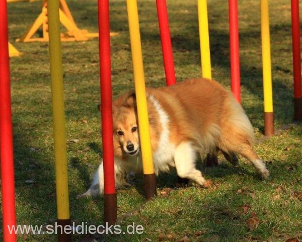 Lovely Leonie von den Rethörnchen