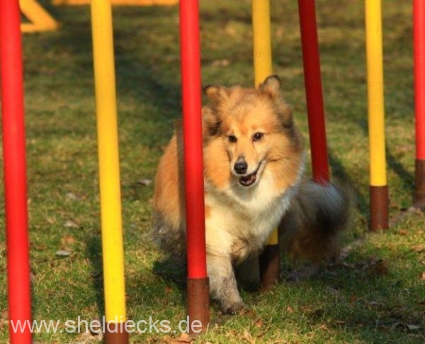Lovely Leonie von den Rethörnchen