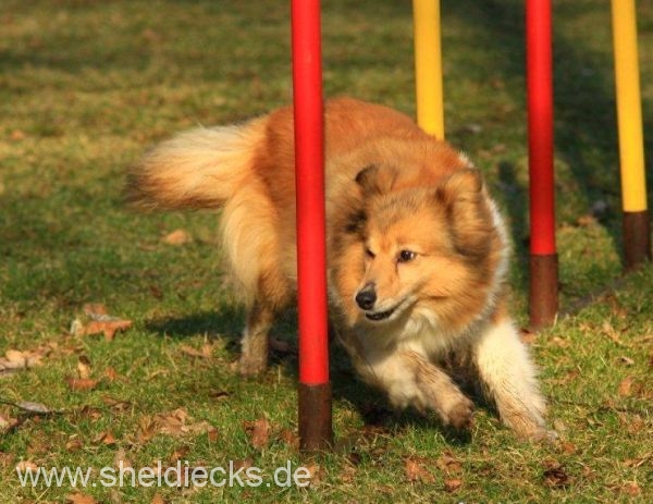 Lovely Leonie von den Rethörnchen