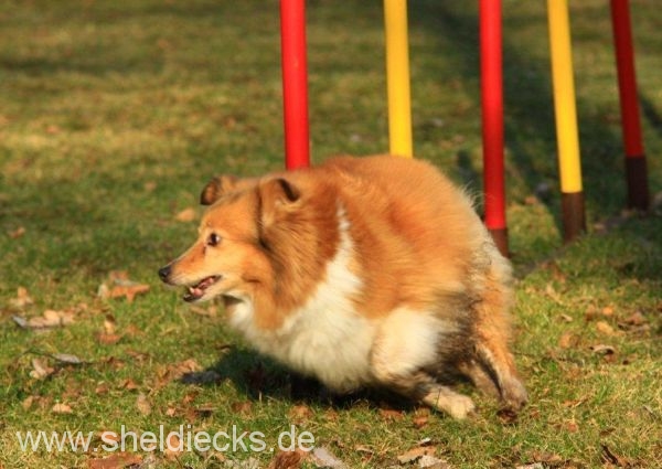 Lovely Leonie von den Rethörnchen