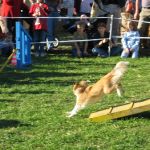 Lovely Leonie von den Rethörnchen