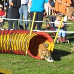 Lovely Leonie von den Rethörnchen