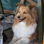 Lovely Leonie von den Rethörnchen