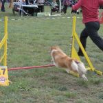 Lovely Leonie von den Rethörnchen