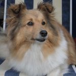 Lovely Leonie von den Rethörnchen