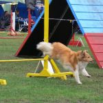 Lovely Leonie von den Rethörnchen