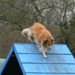 Lovely Leonie von den Rethörnchen