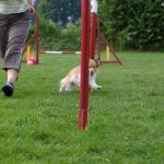 Lovely Leonie von den Rethörnchen