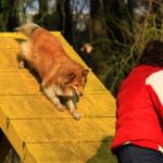 Lovely Leonie von den Rethörnchen