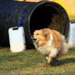 Lovely Leonie von den Rethörnchen