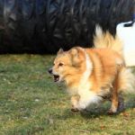 Lovely Leonie von den Rethörnchen