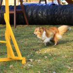 Lovely Leonie von den Rethörnchen