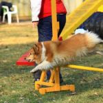 Lovely Leonie von den Rethörnchen