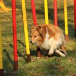 Lovely Leonie von den Rethörnchen